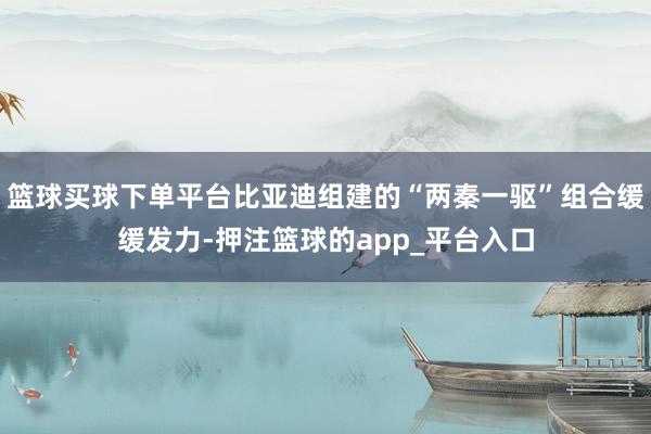 篮球买球下单平台比亚迪组建的“两秦一驱”组合缓缓发力-押注篮球的app_平台入口