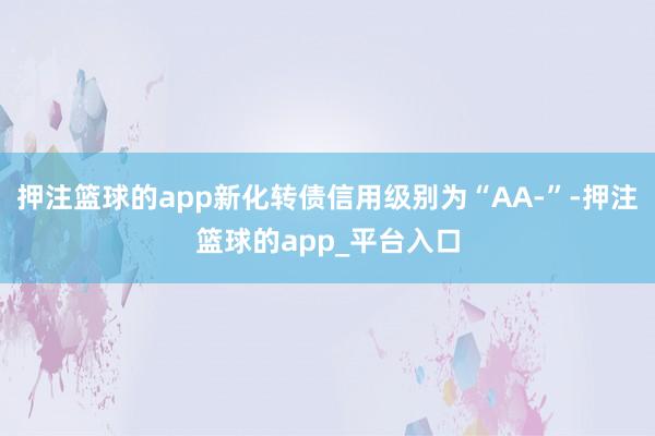 押注篮球的app新化转债信用级别为“AA-”-押注篮球的app_平台入口