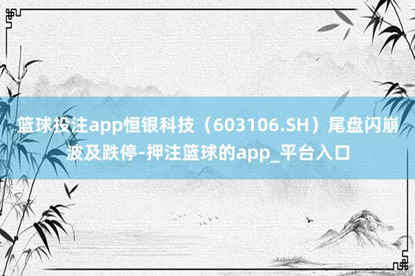 篮球投注app恒银科技（603106.SH）尾盘闪崩波及跌停-押注篮球的app_平台入口