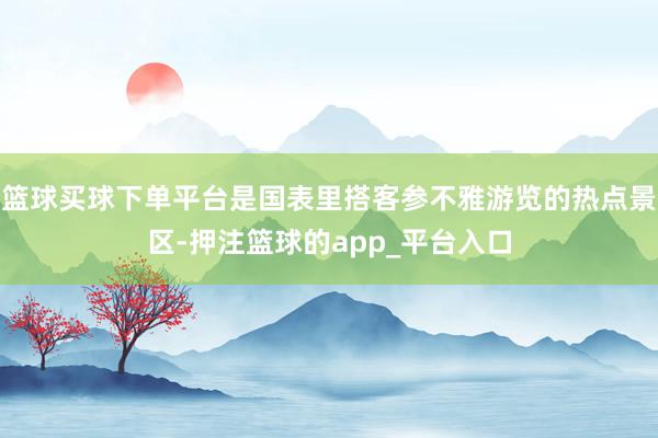 篮球买球下单平台是国表里搭客参不雅游览的热点景区-押注篮球的app_平台入口