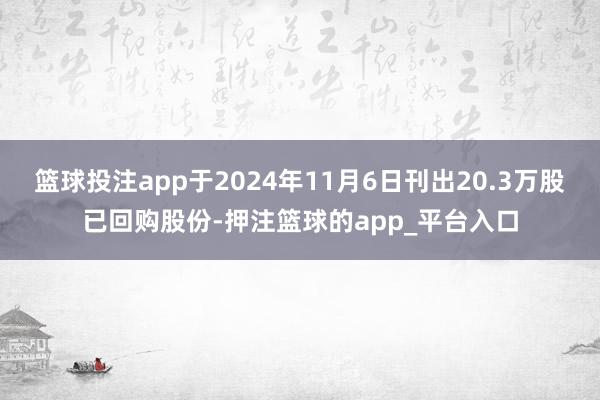 篮球投注app于2024年11月6日刊出20.3万股已回购股份-押注篮球的app_平台入口
