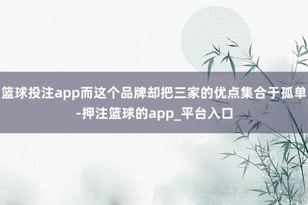 篮球投注app而这个品牌却把三家的优点集合于孤单-押注篮球的app_平台入口
