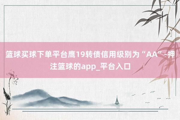 篮球买球下单平台鹰19转债信用级别为“AA”-押注篮球的app_平台入口