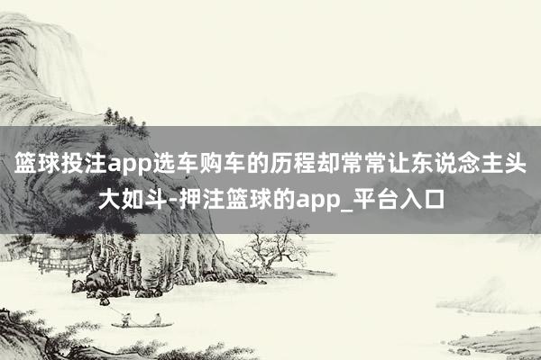 篮球投注app选车购车的历程却常常让东说念主头大如斗-押注篮球的app_平台入口