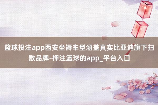 篮球投注app西安坐褥车型涵盖真实比亚迪旗下扫数品牌-押注篮球的app_平台入口