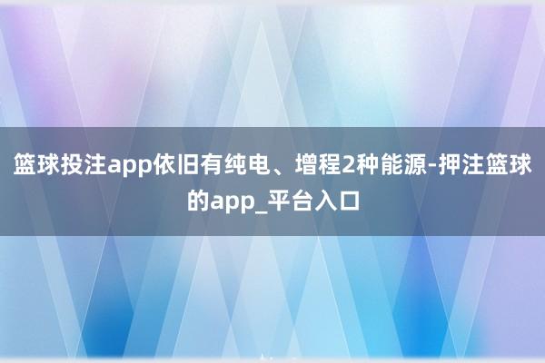 篮球投注app依旧有纯电、增程2种能源-押注篮球的app_平台入口