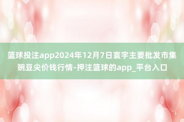篮球投注app2024年12月7日寰宇主要批发市集豌豆尖价钱行情-押注篮球的app_平台入口