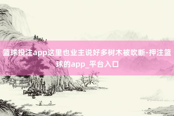 篮球投注app这里也业主说好多树木被吹断-押注篮球的app_平台入口