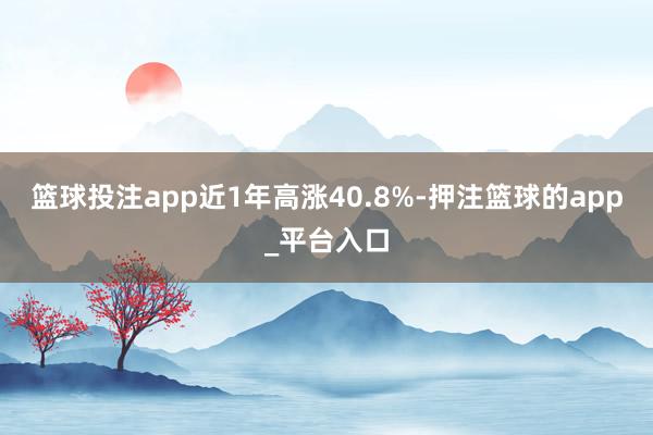 篮球投注app近1年高涨40.8%-押注篮球的app_平台入口