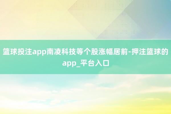 篮球投注app南凌科技等个股涨幅居前-押注篮球的app_平台入口
