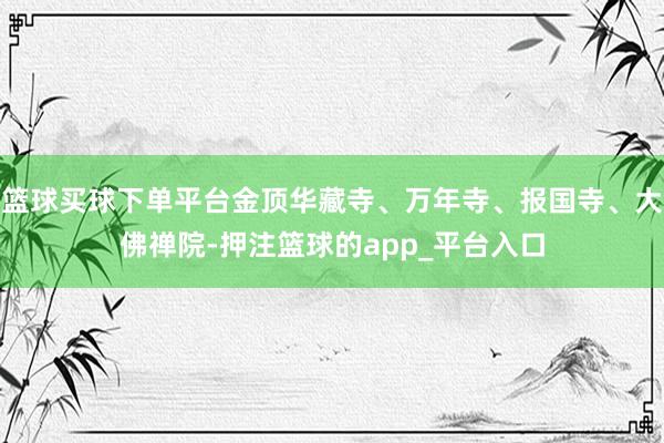 篮球买球下单平台金顶华藏寺、万年寺、报国寺、大佛禅院-押注篮球的app_平台入口