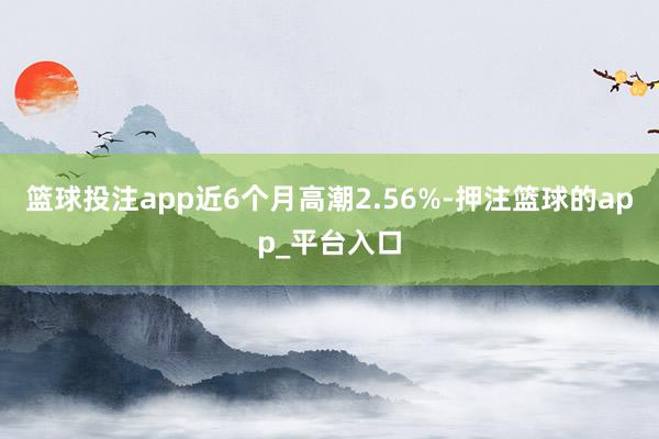 篮球投注app近6个月高潮2.56%-押注篮球的app_平台入口