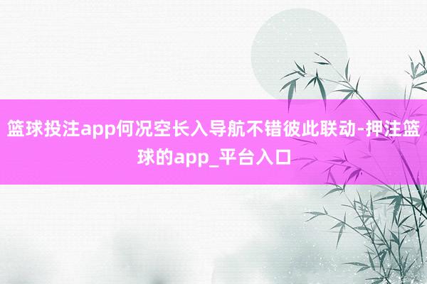 篮球投注app何况空长入导航不错彼此联动-押注篮球的app_平台入口