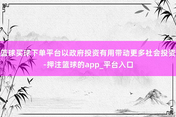 篮球买球下单平台以政府投资有用带动更多社会投资-押注篮球的app_平台入口