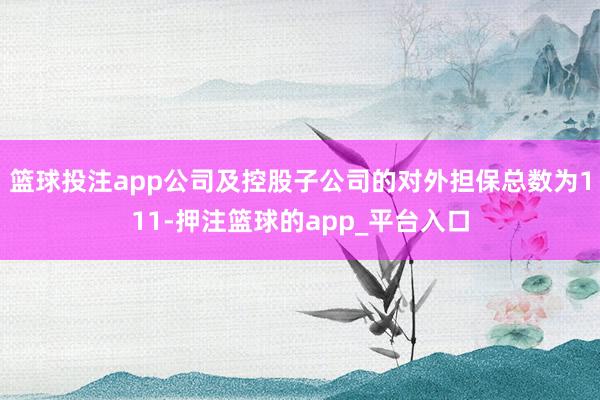 篮球投注app公司及控股子公司的对外担保总数为111-押注篮球的app_平台入口