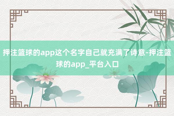 押注篮球的app这个名字自己就充满了诗意-押注篮球的app_平台入口