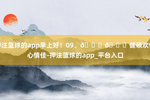 押注篮球的app早上好！09、🍊🍇健硕欢愉心情佳-押注篮球的app_平台入口