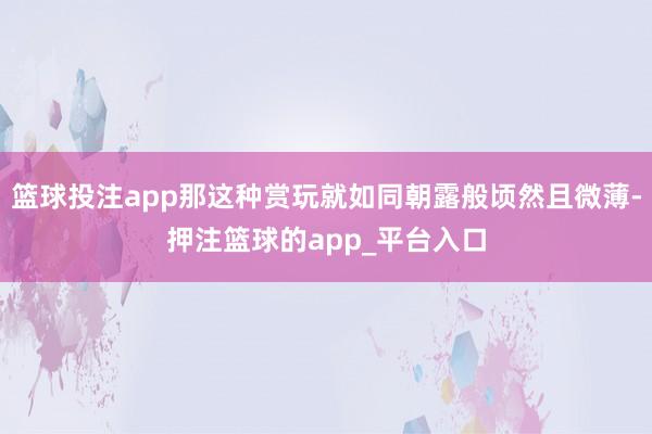 篮球投注app那这种赏玩就如同朝露般顷然且微薄-押注篮球的app_平台入口