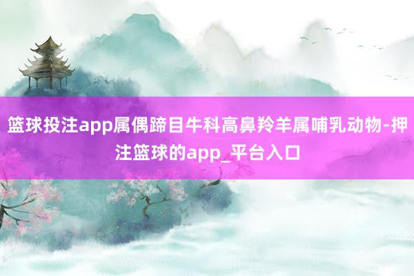 篮球投注app属偶蹄目牛科高鼻羚羊属哺乳动物-押注篮球的app_平台入口