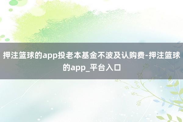 押注篮球的app投老本基金不波及认购费-押注篮球的app_平台入口