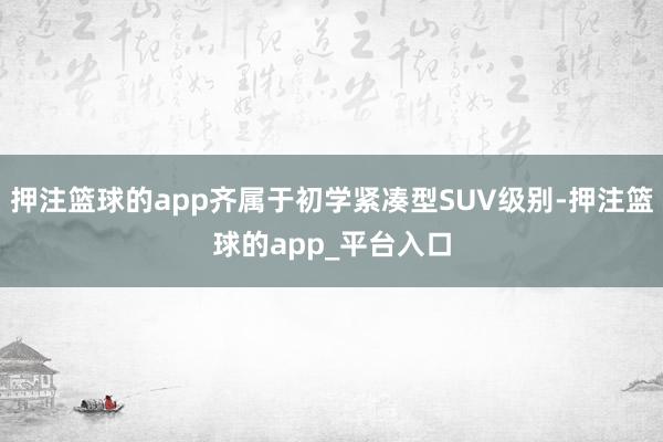 押注篮球的app齐属于初学紧凑型SUV级别-押注篮球的app_平台入口