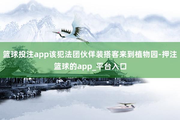 篮球投注app该犯法团伙佯装搭客来到植物园-押注篮球的app_平台入口