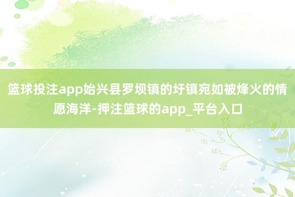篮球投注app始兴县罗坝镇的圩镇宛如被烽火的情愿海洋-押注篮球的app_平台入口