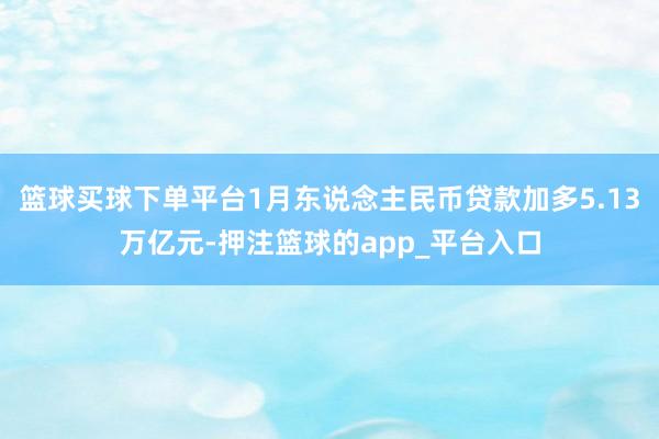 篮球买球下单平台1月东说念主民币贷款加多5.13万亿元-押注篮球的app_平台入口