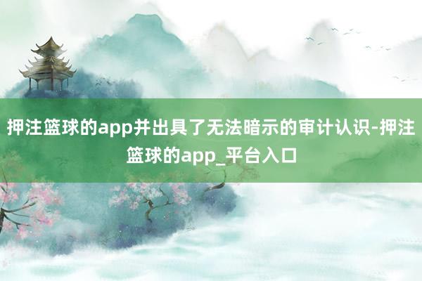 押注篮球的app并出具了无法暗示的审计认识-押注篮球的app_平台入口