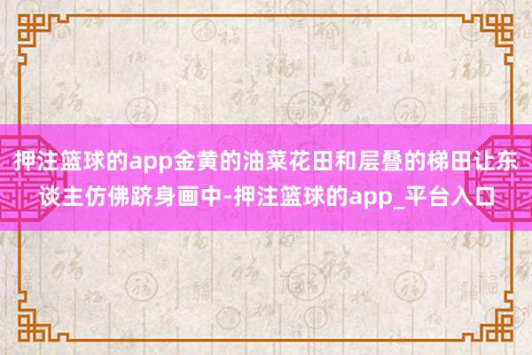 押注篮球的app金黄的油菜花田和层叠的梯田让东谈主仿佛跻身画中-押注篮球的app_平台入口