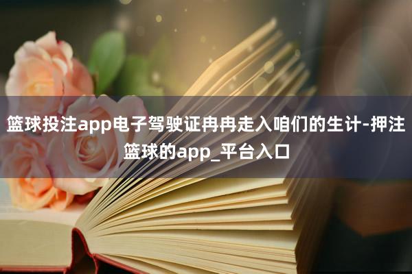 篮球投注app电子驾驶证冉冉走入咱们的生计-押注篮球的app_平台入口