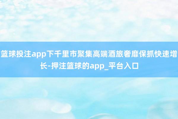 篮球投注app下千里市聚集高端酒旅奢靡保抓快速增长-押注篮球的app_平台入口