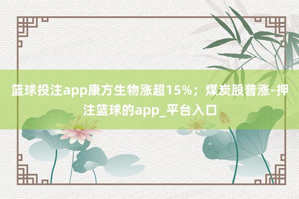 篮球投注app康方生物涨超15%；煤炭股普涨-押注篮球的app_平台入口