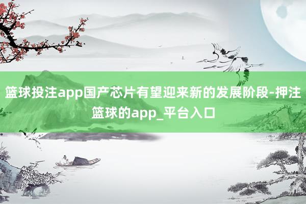 篮球投注app国产芯片有望迎来新的发展阶段-押注篮球的app_平台入口