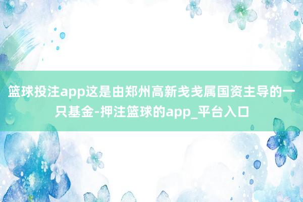 篮球投注app这是由郑州高新戋戋属国资主导的一只基金-押注篮球的app_平台入口