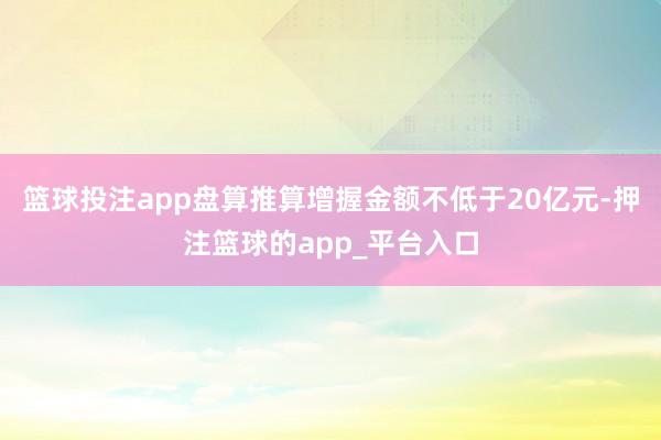 篮球投注app盘算推算增握金额不低于20亿元-押注篮球的app_平台入口