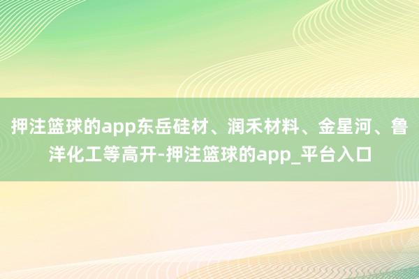 押注篮球的app东岳硅材、润禾材料、金星河、鲁洋化工等高开-押注篮球的app_平台入口