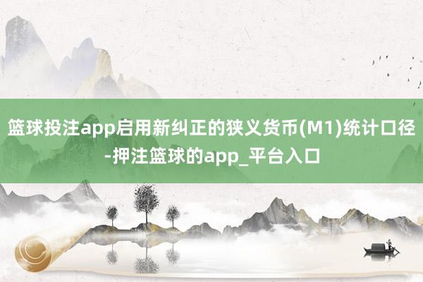 篮球投注app启用新纠正的狭义货币(M1)统计口径-押注篮球的app_平台入口