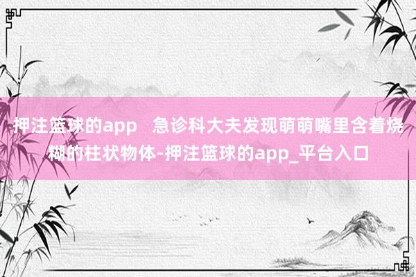 押注篮球的app   急诊科大夫发现萌萌嘴里含着烧糊的柱状物体-押注篮球的app_平台入口
