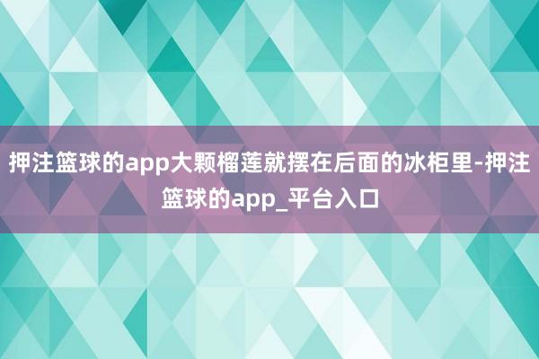 押注篮球的app大颗榴莲就摆在后面的冰柜里-押注篮球的app_平台入口
