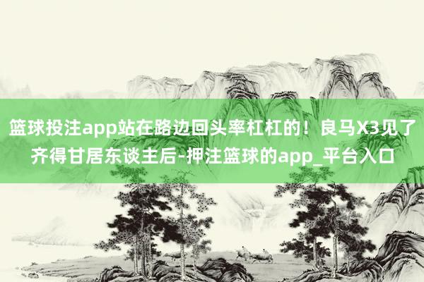 篮球投注app站在路边回头率杠杠的！良马X3见了齐得甘居东谈主后-押注篮球的app_平台入口