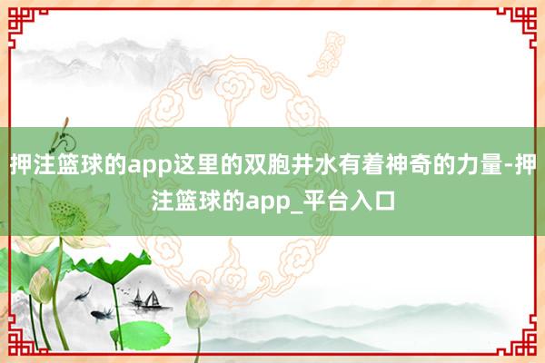 押注篮球的app这里的双胞井水有着神奇的力量-押注篮球的app_平台入口