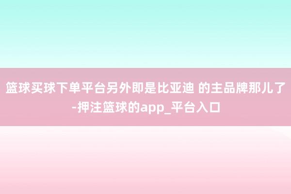 篮球买球下单平台另外即是比亚迪 的主品牌那儿了-押注篮球的app_平台入口