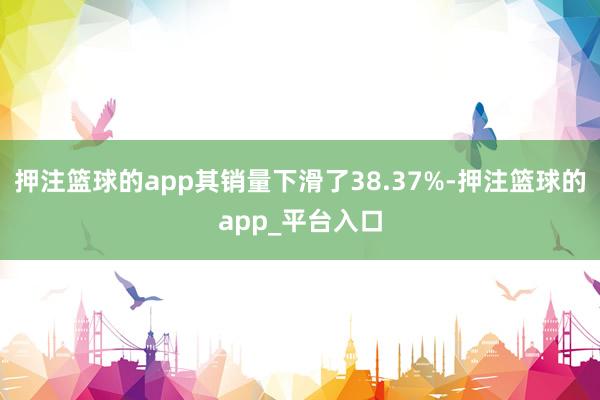 押注篮球的app其销量下滑了38.37%-押注篮球的app_平台入口