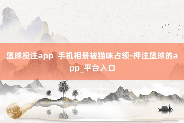 篮球投注app  手机相册被猫咪占领-押注篮球的app_平台入口
