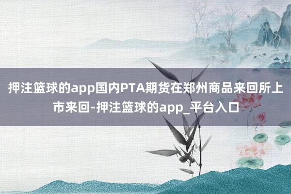 押注篮球的app国内PTA期货在郑州商品来回所上市来回-押注篮球的app_平台入口