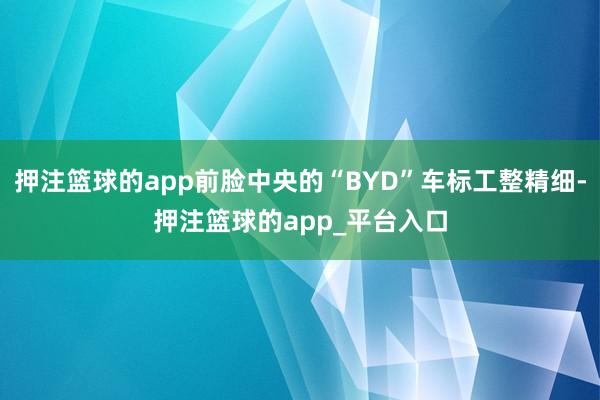 押注篮球的app前脸中央的“BYD”车标工整精细-押注篮球的app_平台入口