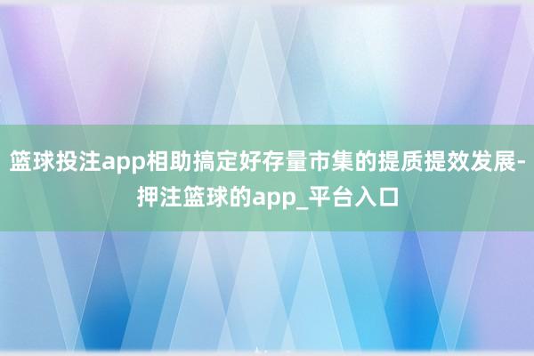 篮球投注app相助搞定好存量市集的提质提效发展-押注篮球的app_平台入口