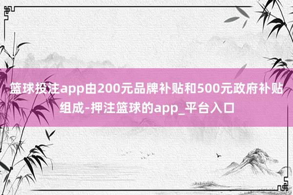 篮球投注app由200元品牌补贴和500元政府补贴组成-押注篮球的app_平台入口