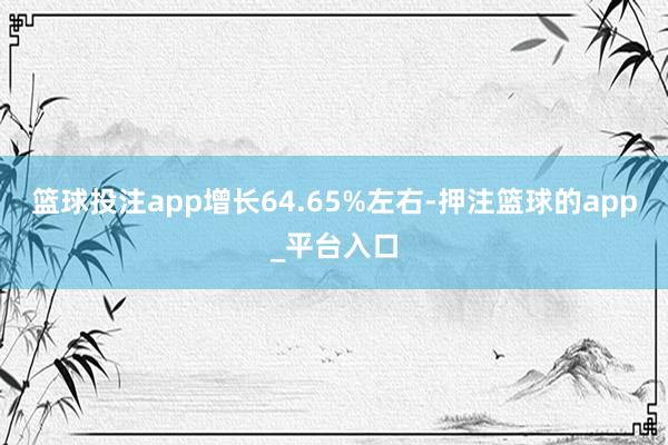 篮球投注app增长64.65%左右-押注篮球的app_平台入口